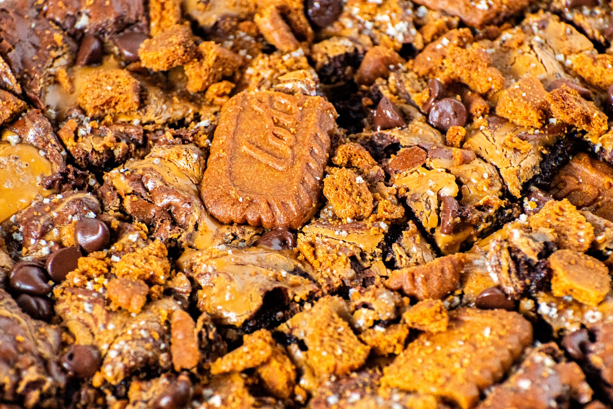 Overhead view of fudgy Biscoff brownies with browned butter and cookie butter swirl, topped with crushed Biscoff cookies and a Lotus cookie in the center.