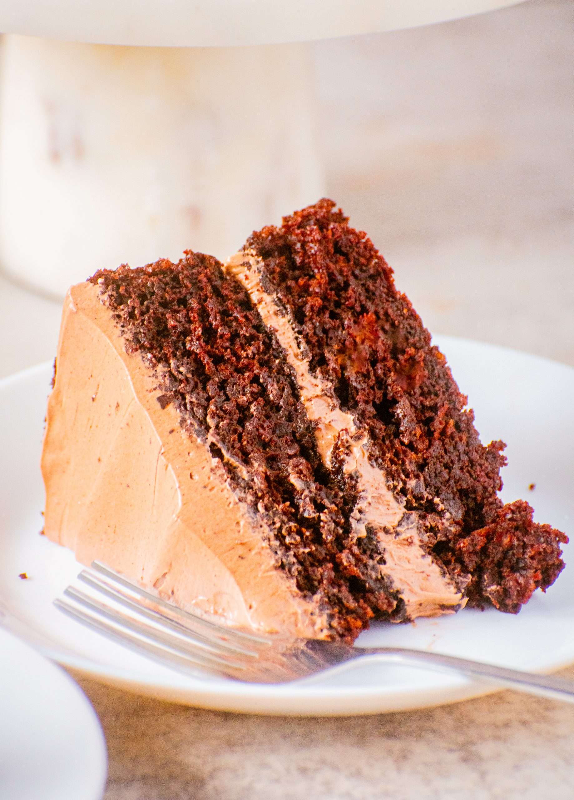 Moist vegan chocolate cake slice with rich chocolate frosting on a white plate.