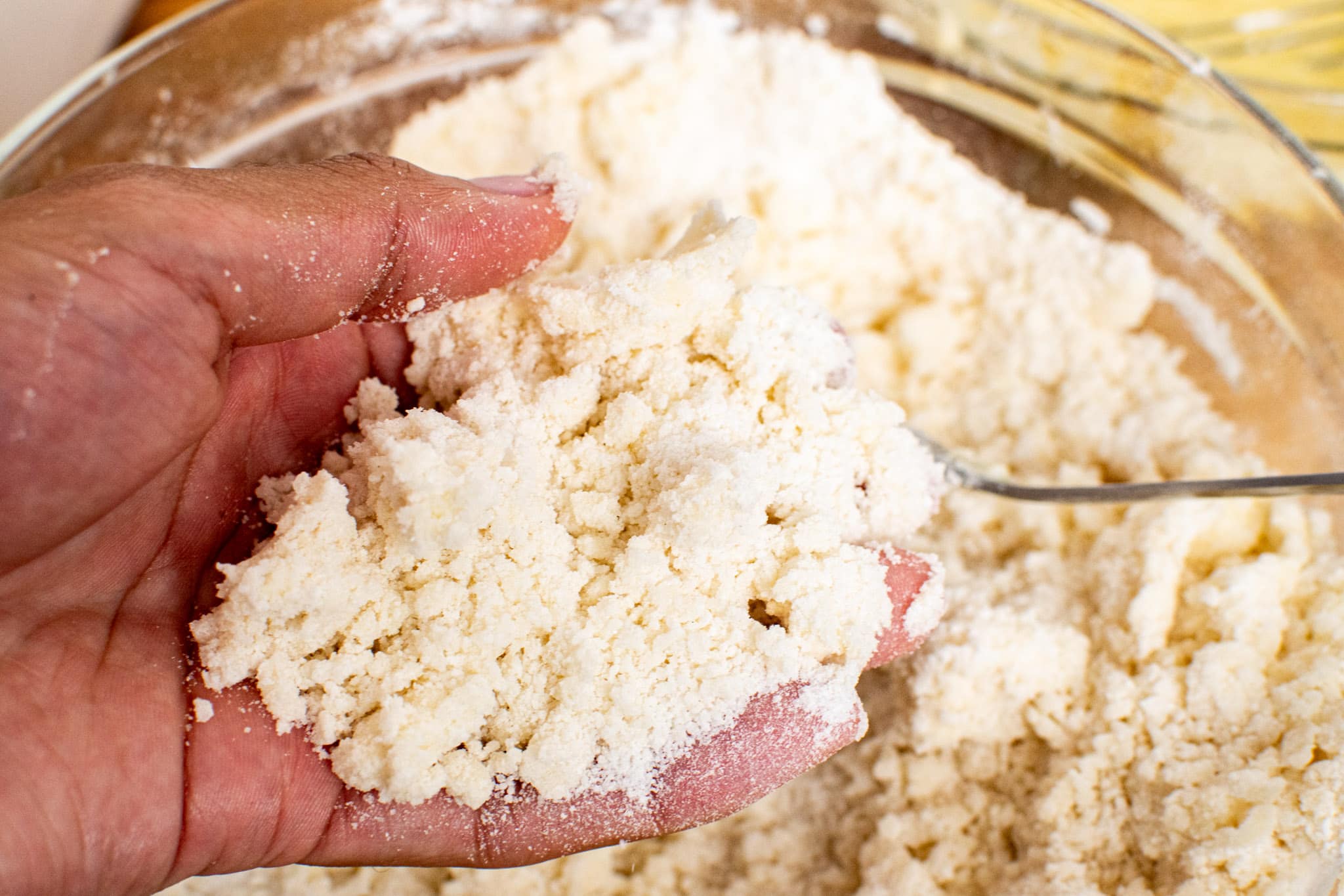 Close-up of dry ingredients and butter mixed into a coarse, sandy texture.