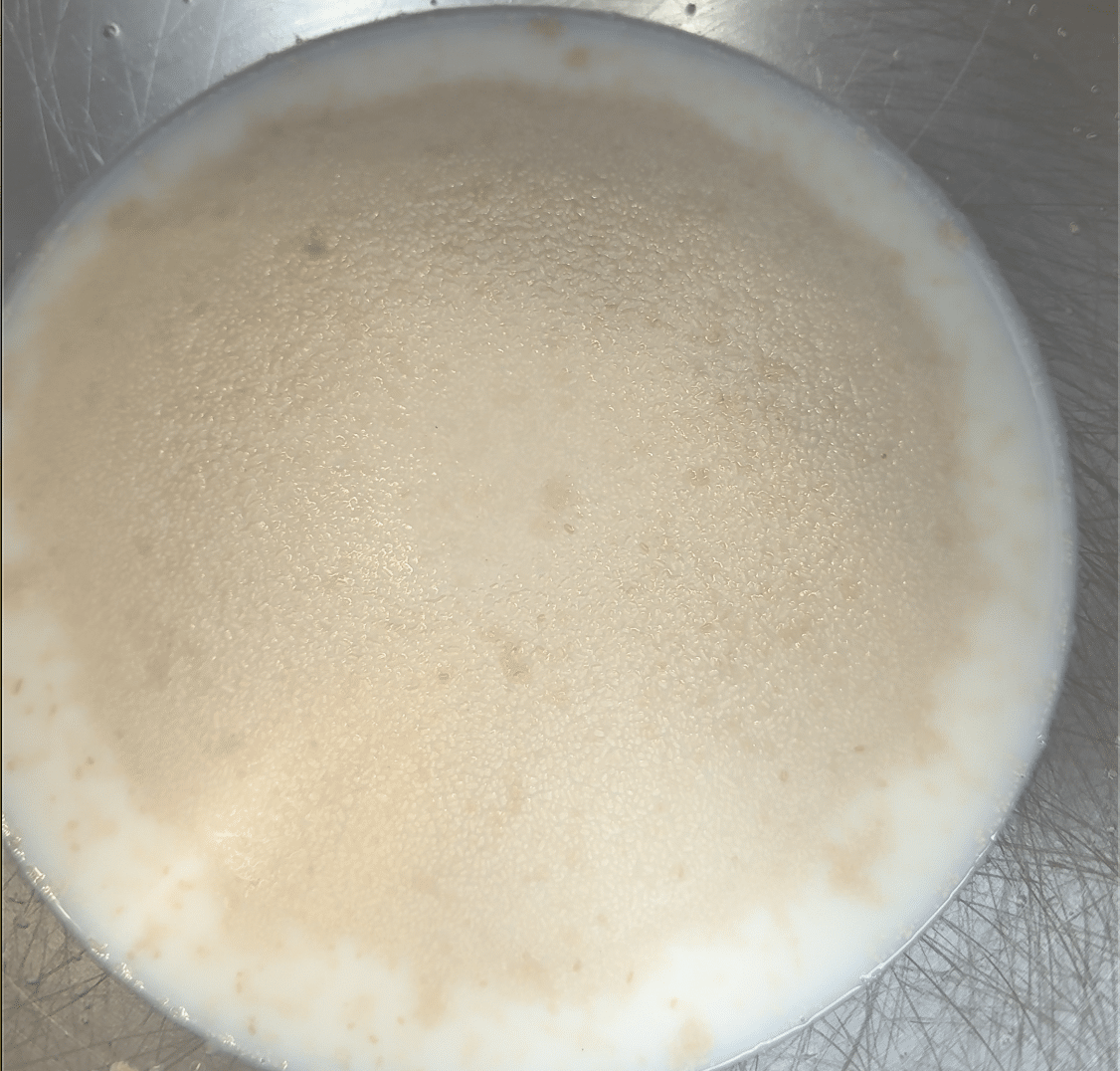 Yeast that is foamed up and is ready to be used.